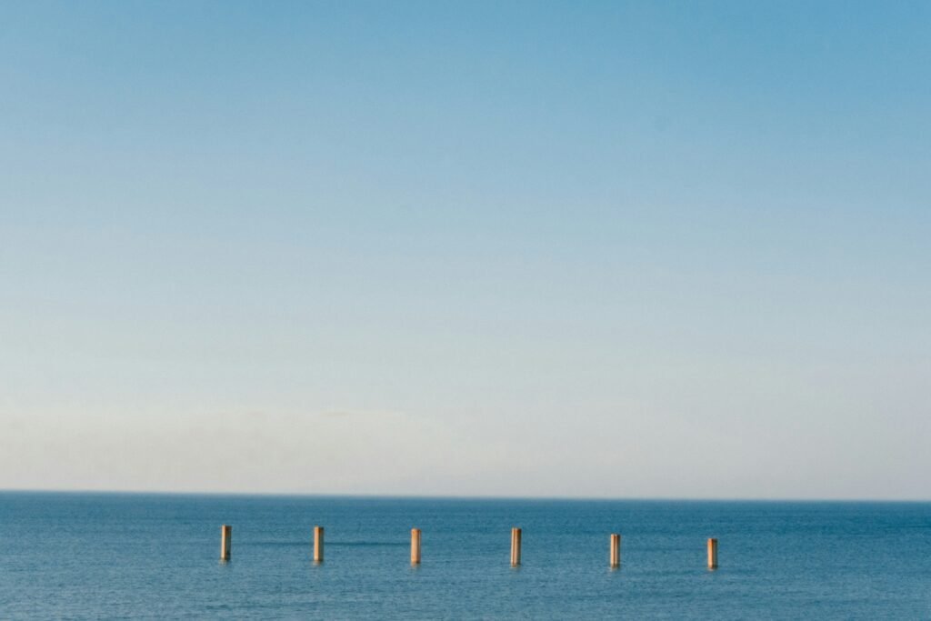 alexander-lunyov-X-6tuJs0Ggo-unsplash