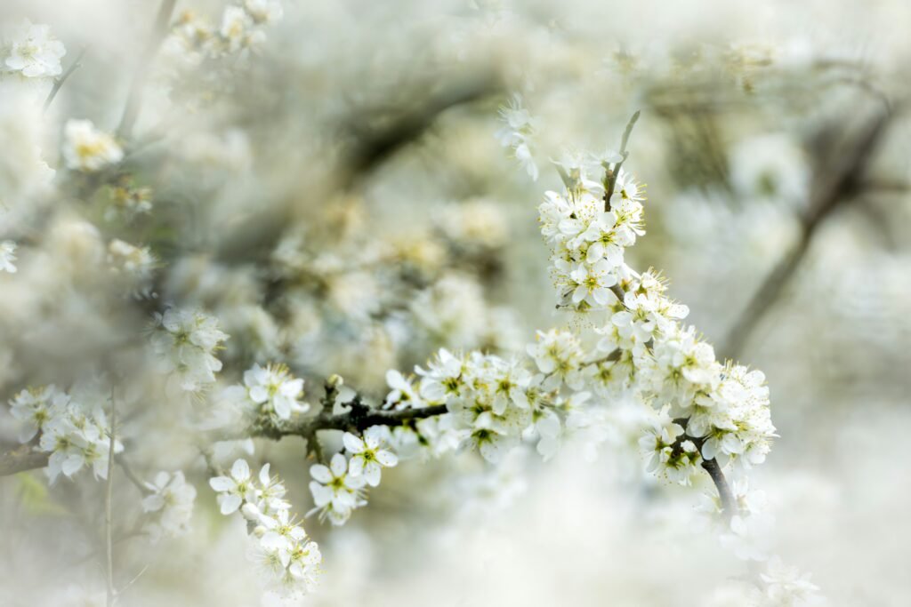 doncoombez-UNeHrHb7eII-unsplash